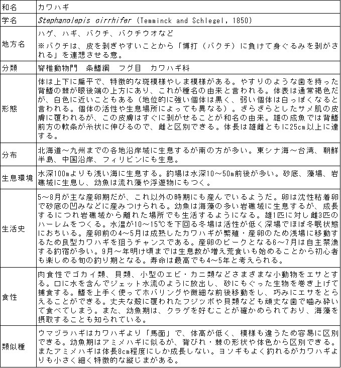 カワハギの生態 釣りブログ 海と川のリソース