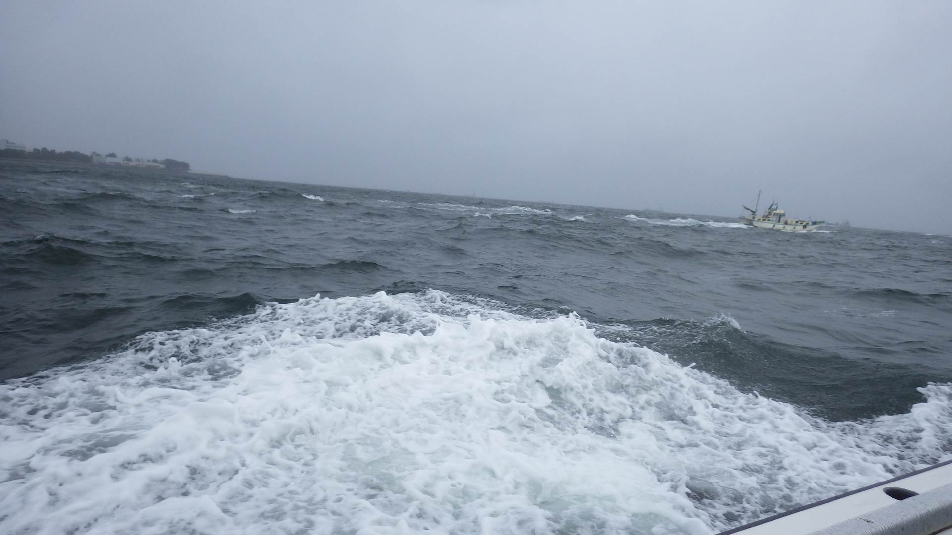 四年ぶりのltアジ釣り まさかの大物ゲストに唖然 釣りブログ 海と川のリソース